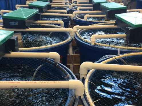 system redundancy ras fish system redundancy ras fish