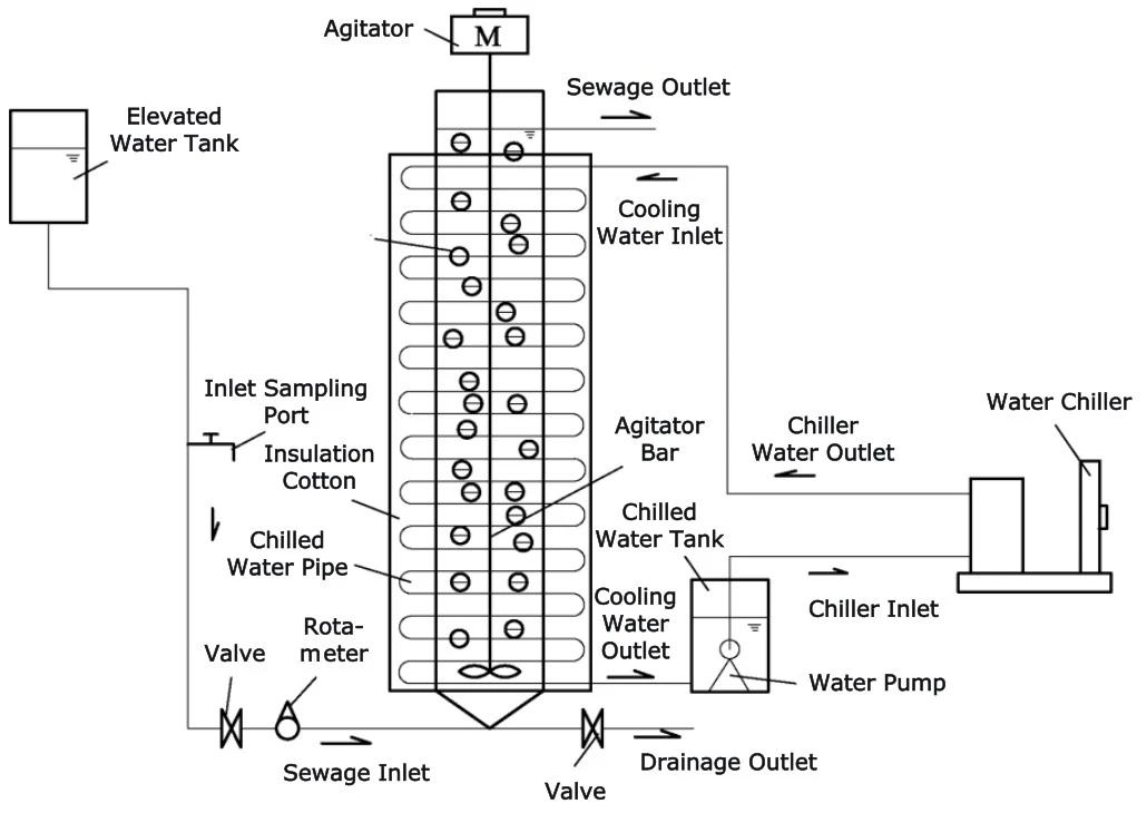 Schematic diagram of the A/MBBR reactor showing carrier media, aeration system, and flow configuration Schematic diagram of the A/MBBR reactor showing carrier media, aeration system, and flow configuration
