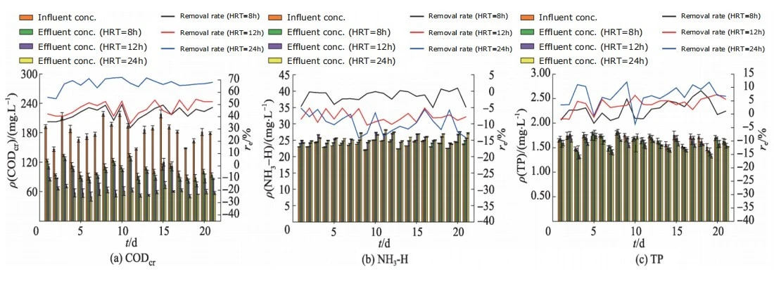 Pollutant removal efficiency comparison at 8h, 12h, and 24h hydraulic retention times for all key parameters Pollutant removal efficiency comparison at 8h, 12h, and 24h hydraulic retention times for all key parameters