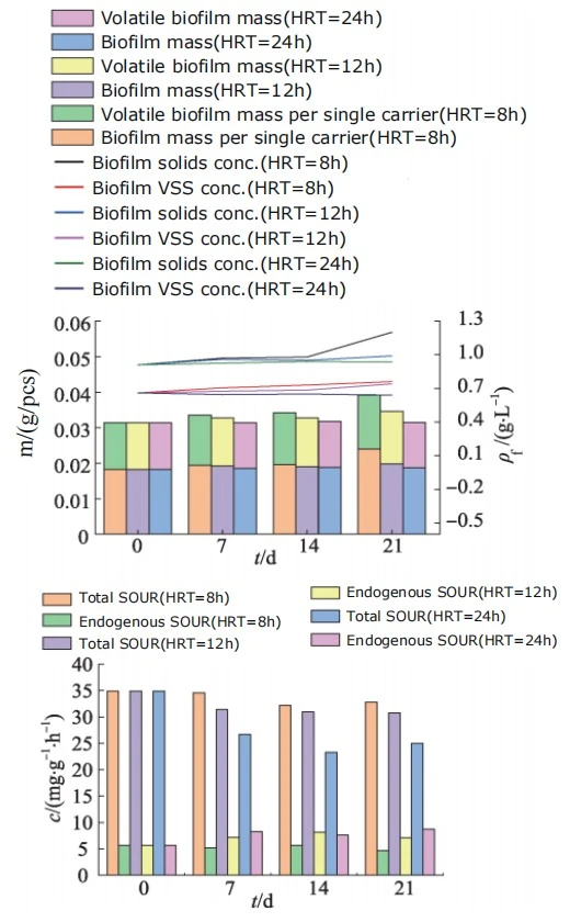 Biofilm mass and respiration rates at different HRT conditions showing faster growth at shorter retention times Biofilm mass and respiration rates at different HRT conditions showing faster growth at shorter retention times