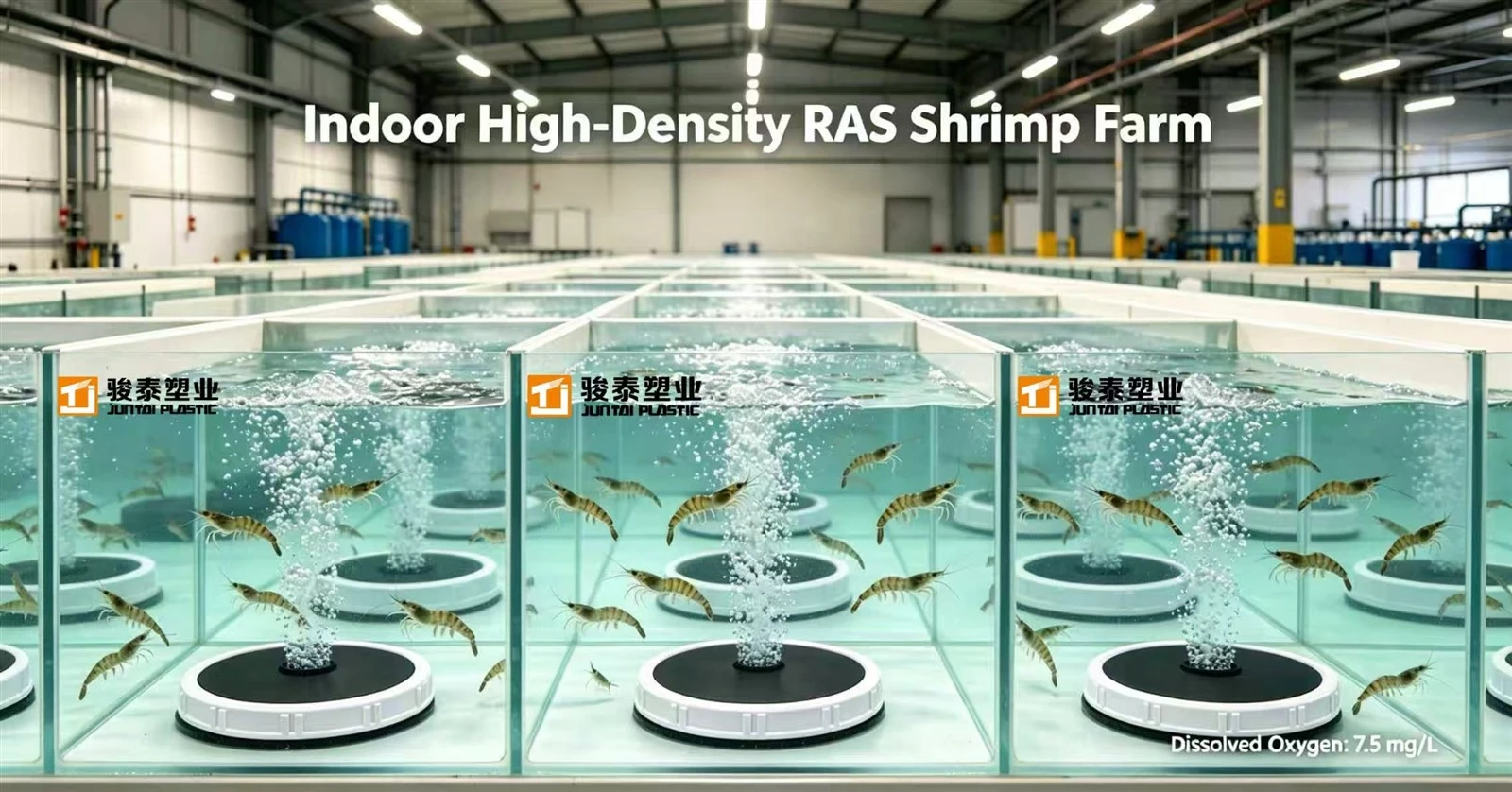 Fine bubble disc diffuser array producing uniform microbubble plume in commercial aquaculture tank Fine bubble disc diffuser array producing uniform microbubble plume in commercial aquaculture tank