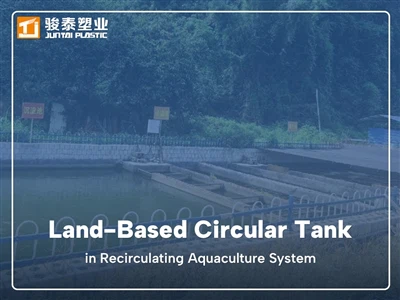 Experiment and Economic Benefit Analysis of Barbel Chub (Spinibarbus denticul...