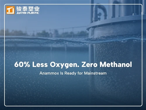 Performance of Anammox-Based Nitrogen Removal in Secondary Wastewater Treatme...