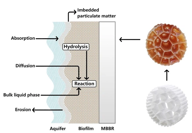 mbbr working principle mbbr working principle