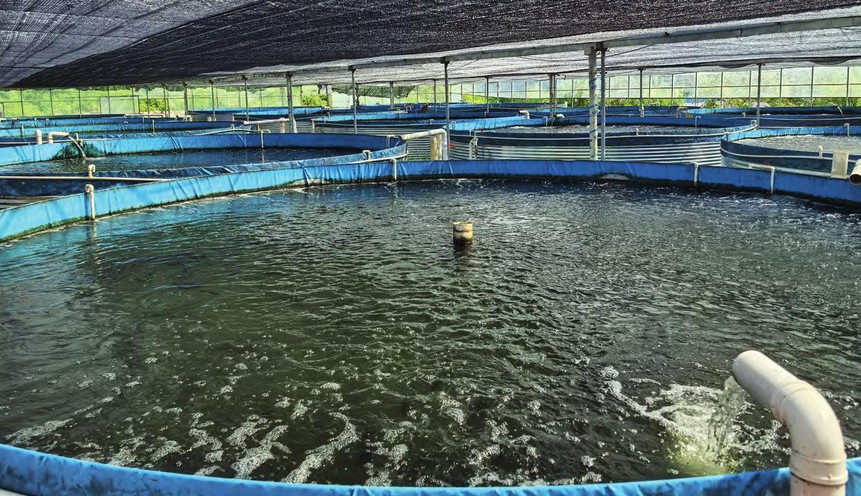 industrial recirculating aquaculture system industrial recirculating aquaculture system