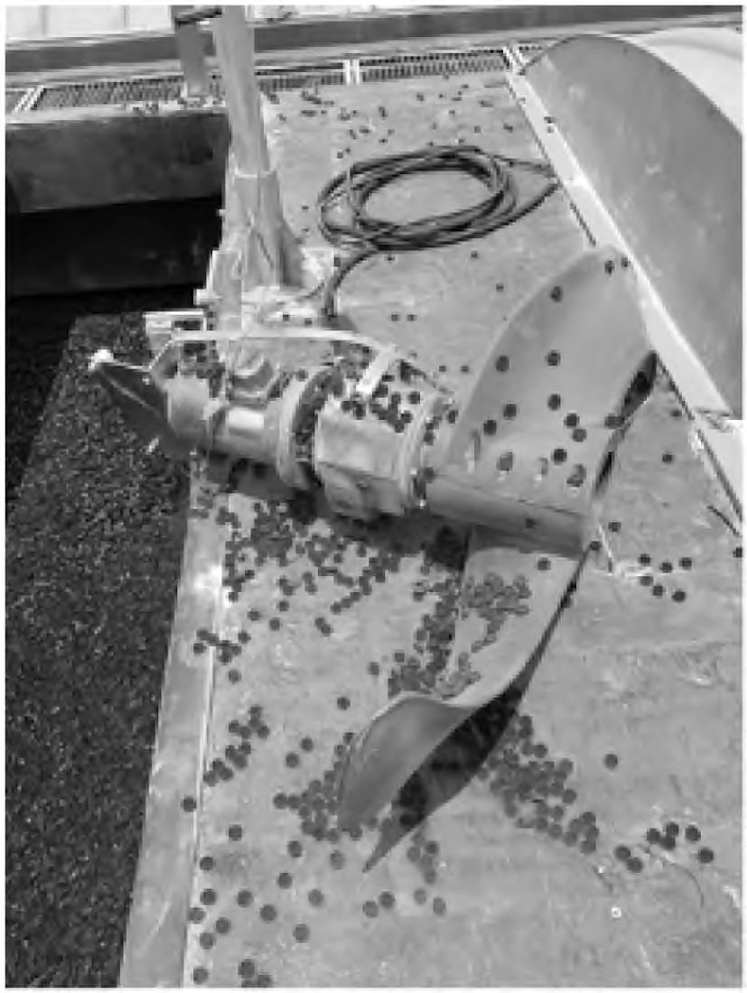 Submerged propeller mixer damaged by carrier media abrasion in MBBR tank Submerged propeller mixer damaged by carrier media abrasion in MBBR tank
