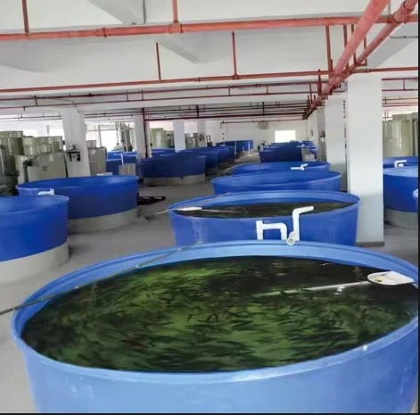 Fine bubble disc diffuser aeration system for shrimp pond and fish farm Fine bubble disc diffuser aeration system for shrimp pond and fish farm