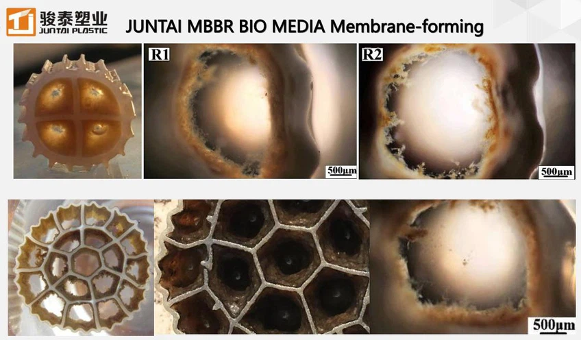 mbbr bio media membrane forming - juntai mbbr bio media membrane forming - juntai